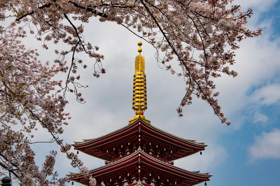 Cerejeiras em flor no Japão, inspiração para viagem em 2027